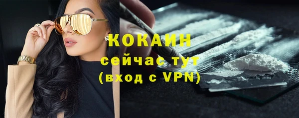 бошки Аша