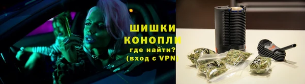 шишки Нягань