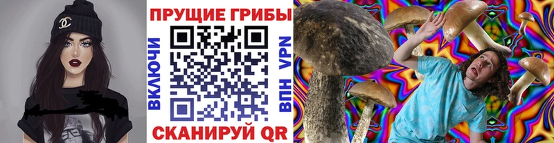 Псилоцибиновые грибы мухоморы  Уржум 